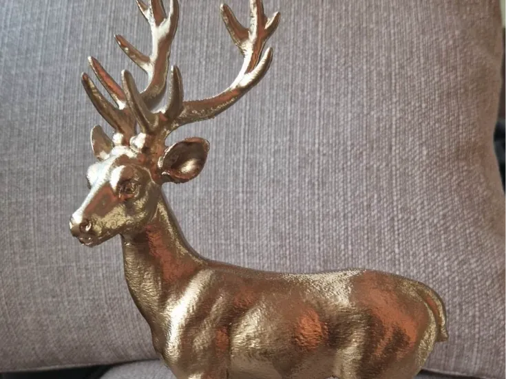 Deer