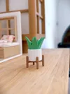Mini Plant w stand - 3 plates