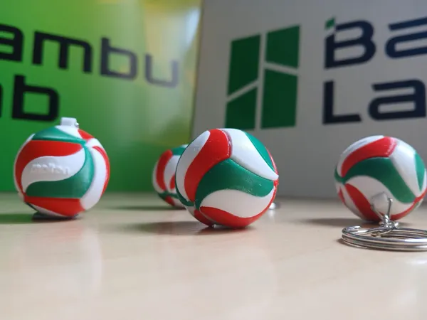 https://makerworld.bblmw.com/makerworld/model/US7c33f12a68ab63/design/2025-11-06_ad40a76827f79.jpeg