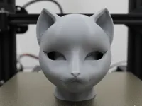 0.2mm layer, 6 walls,
