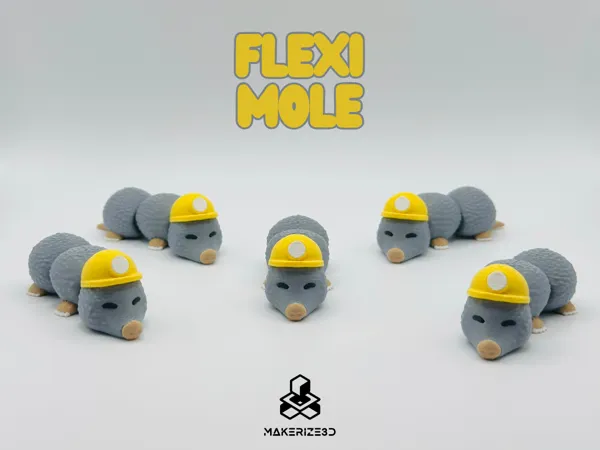 https://makerworld.bblmw.com/makerworld/model/US7c364fe1d779a0/design/2025-06-27_48a40e1fbd302.png