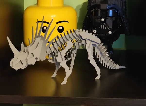 https://makerworld.bblmw.com/makerworld/model/US7c390840dffa81/design/2024-02-23_8eb437c20492.jpg