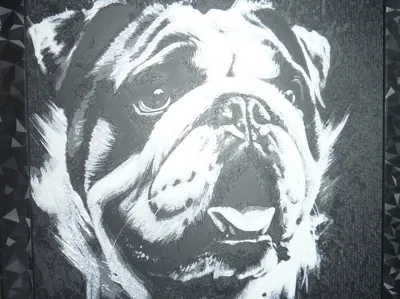 English Bulldog portrait 200x200