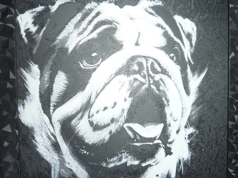 English Bulldog portrait 200x200
