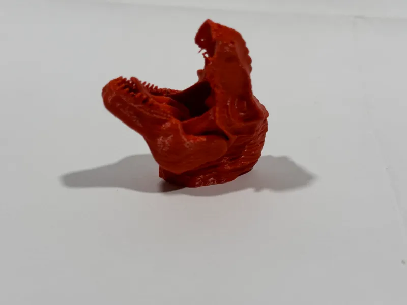 T Rex head