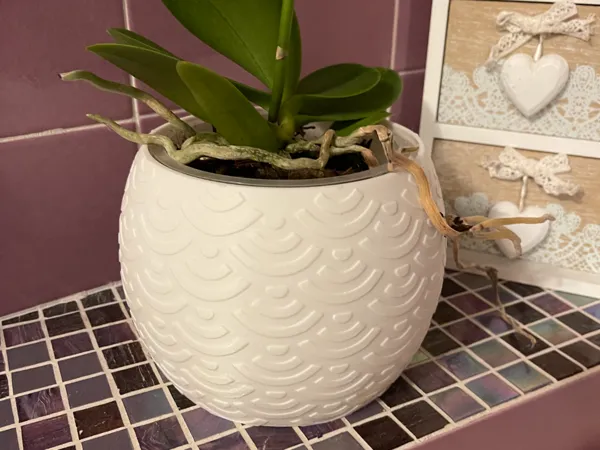 Vase décoratif géométrique