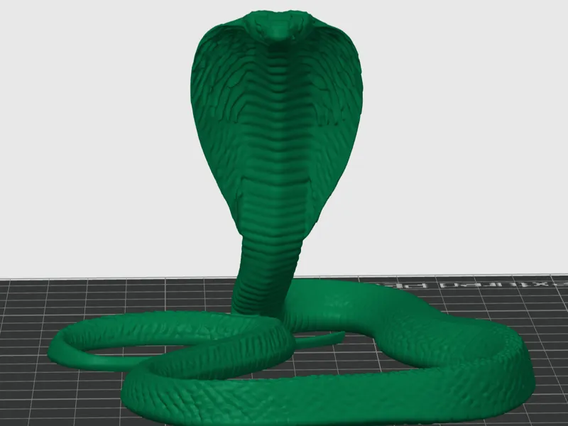 King Cobra