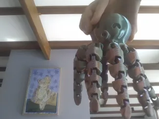 giant octopus