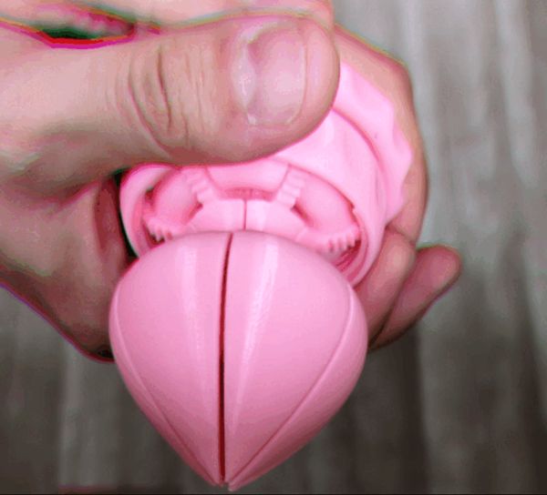 https://makerworld.bblmw.com/makerworld/model/US7c4cf39454332a/design/2024-06-19_11fb0004dab97.gif