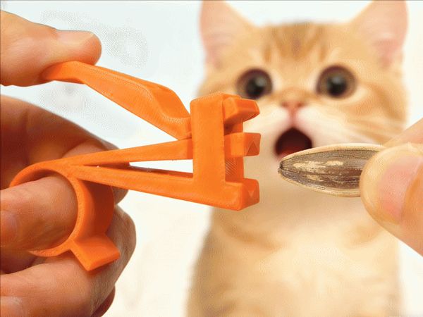 https://makerworld.bblmw.com/makerworld/model/US7c513856f2ccae/design/2025-11-14_b6f712701cc6.gif