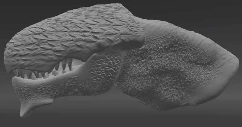 Dragon Head