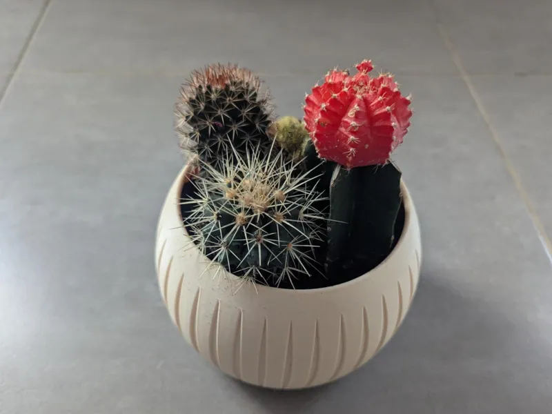 Petit Pot Décoratif – Ø13 cm x 10 cm de haut