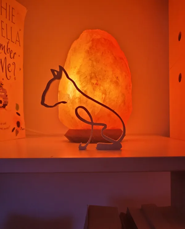 https://makerworld.bblmw.com/makerworld/model/US7c5dc43394ca89/design/2023-12-31_38907d7050471.jpg