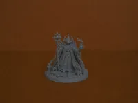 0.2mm nozzle, 0.08mm layer, 4 walls, 5% infill