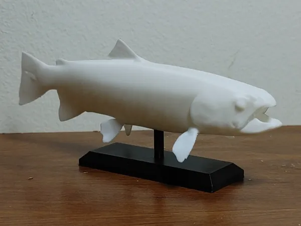 https://makerworld.bblmw.com/makerworld/model/US7c6327b9657bbe/design/2025-06-13_f7a0b0081ec6b.jpg