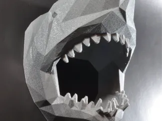 Low Poly Shark head
