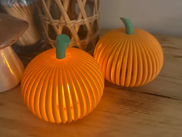 https://makerworld.bblmw.com/makerworld/model/US7c6b0240cad399/design/2025-09-11_6fe00faa6afef.jpg