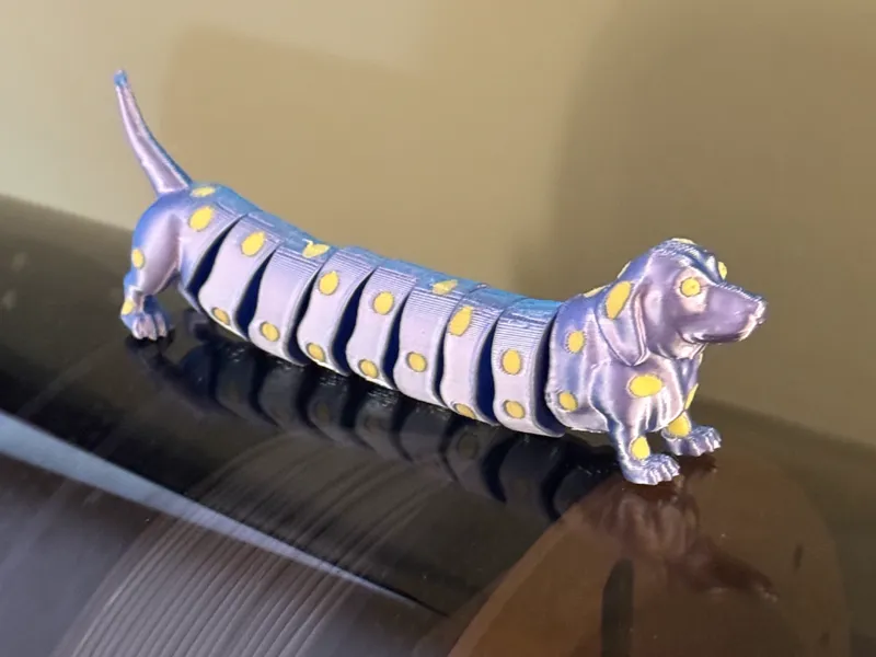 Multicolor Dachshund Flexi