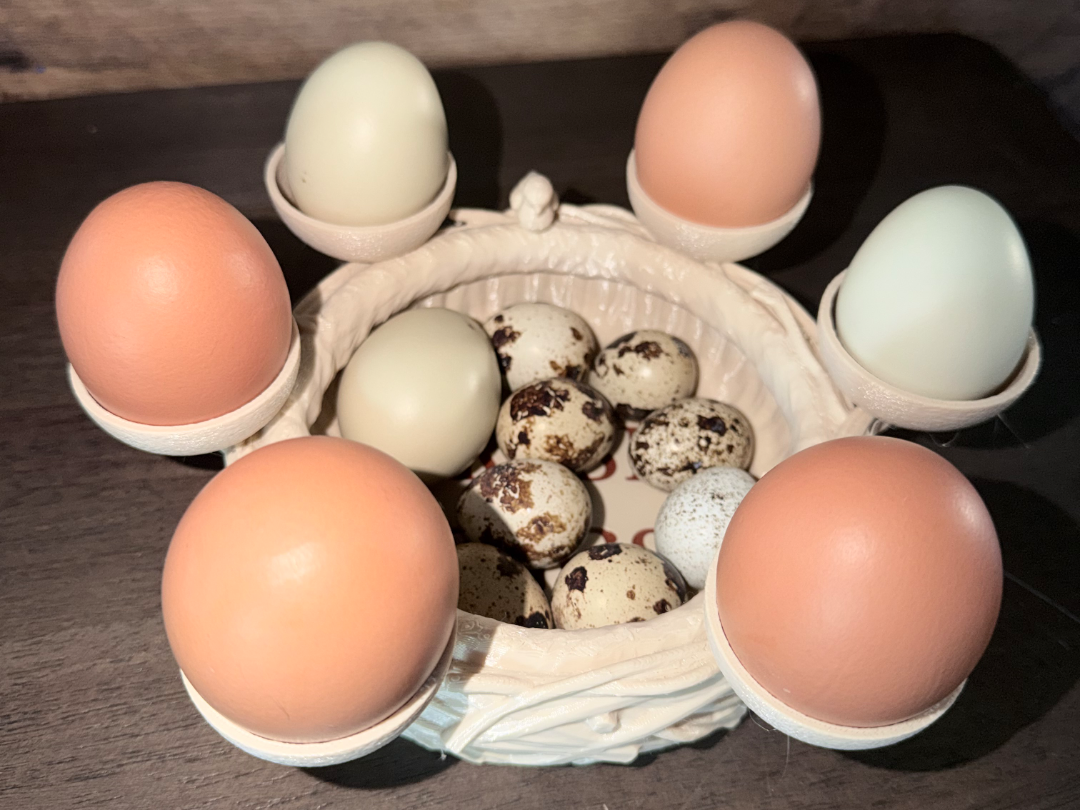 Bird Nest Fresh Egg holder