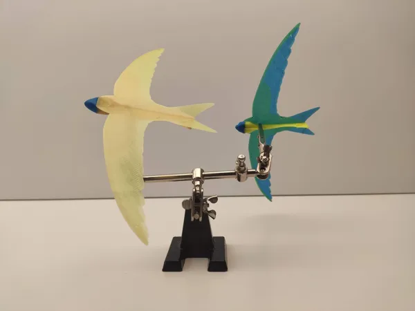 https://makerworld.bblmw.com/makerworld/model/US7c7d163a963241/design/2023-08-14_avnz63cs74f8.jpg