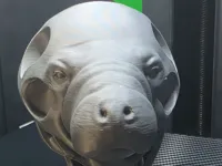 Manatee Void Sculpture