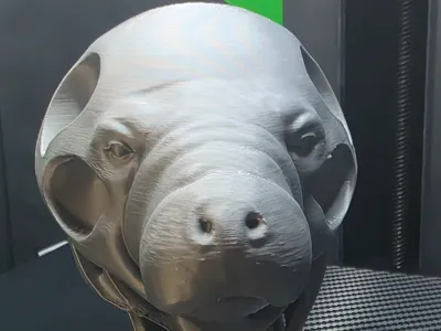 Manatee Head Void Sculpture