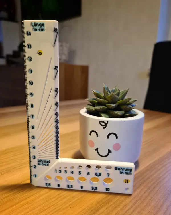https://makerworld.bblmw.com/makerworld/model/US7c84c4c0481de9/design/2024-11-07_64392fd600aee.jpg