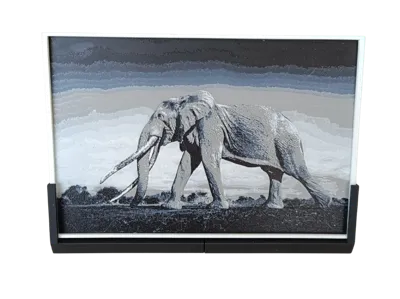 wild Elephant (HueForge)