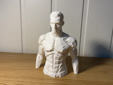 Male torso