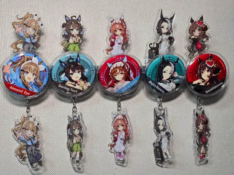 Otaku Goods Wall Display Stand