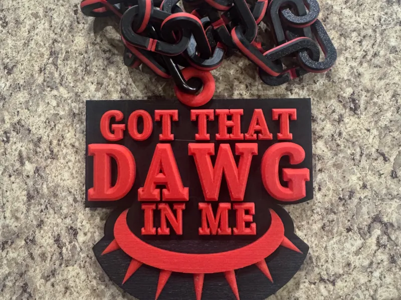 Hype Chain pendant - Got that Dawg in me