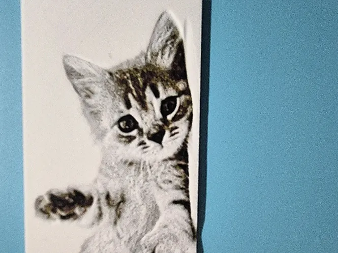 kitten bookmark