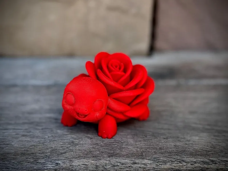 Rose Turtle