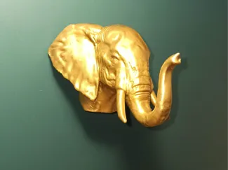 Elephant head stand - Soporte Cabeza elefante