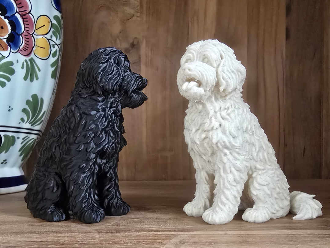 Cute Labradoodle dog model - sitting pose