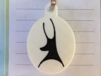 Telford FC Keyring