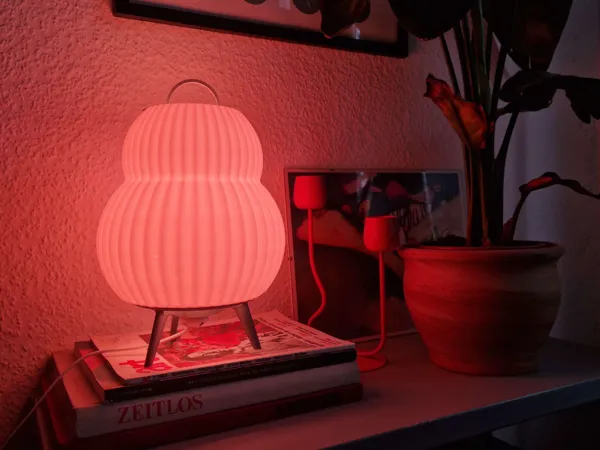 https://makerworld.bblmw.com/makerworld/model/US7c9e6262194280/design/2025-11-23_1dfd354242a3d8.jpg