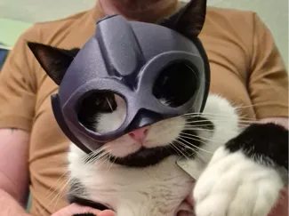 Viking  Cat Helmet