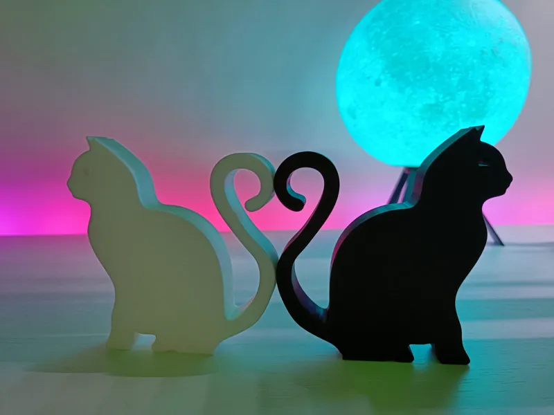 Cat heart