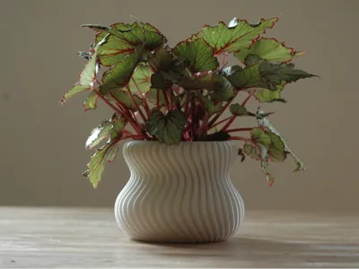 Japandi planter "Vera"