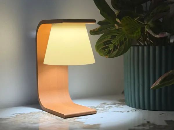 https://makerworld.bblmw.com/makerworld/model/US7ca8e30ee1529e/design/2025-09-17_3665311b112838.jpg