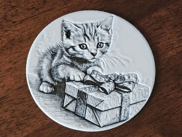 https://makerworld.bblmw.com/makerworld/model/US7caefe2377f123/design/2024-11-12_3f86c30b74f11.jpg
