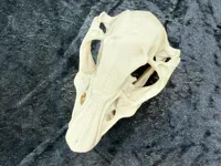 0.16mm layer, 2 walls, 15% infill