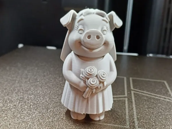 https://makerworld.bblmw.com/makerworld/model/US7cb8263aee560e/design/2025-10-20_1797905c342df8.jpg