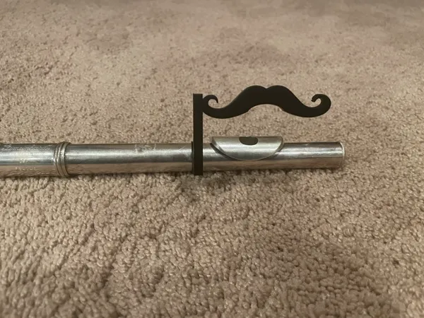 https://makerworld.bblmw.com/makerworld/model/US7cbb7aa0d8771a/design/2025-11-21_d0964ba19f51c8.jpeg