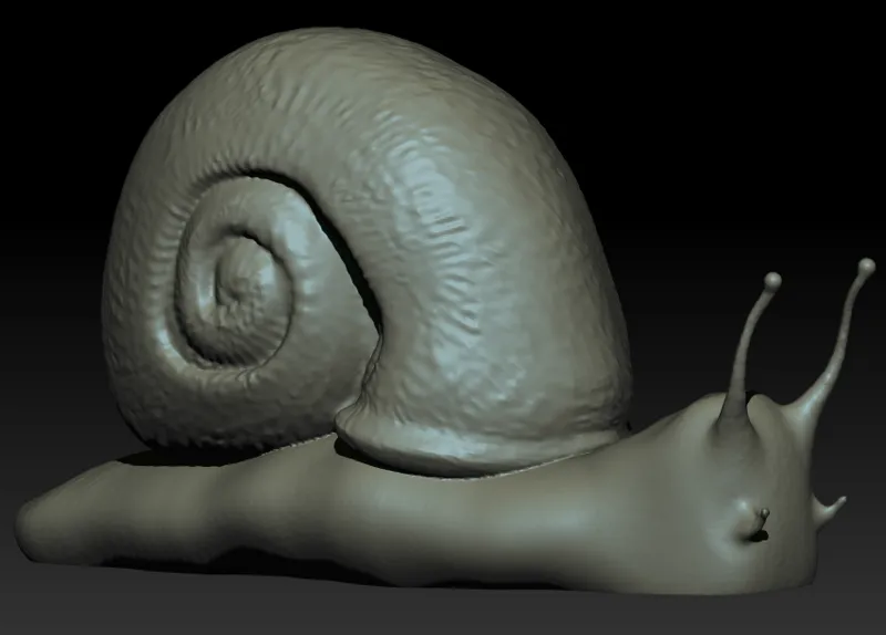Snail
