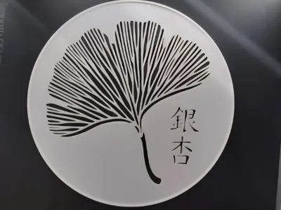 “Ginkgo” painting stencil