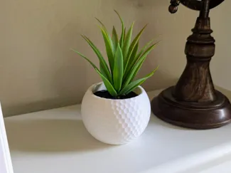 2.25" Golf Ball Planter - Spiral Vase Print