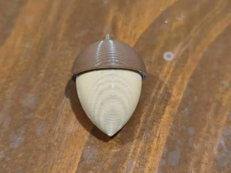 Acorn Model