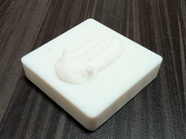 https://makerworld.bblmw.com/makerworld/model/US7ccfec227b9290/design/2025-02-19_481944c959c1.jpg